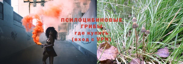 таблы Алзамай